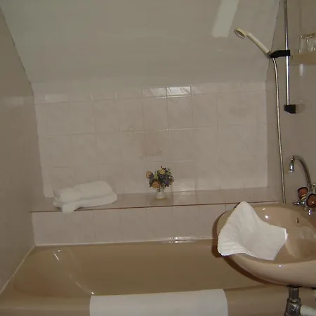 Vadgesztenye Panzio *