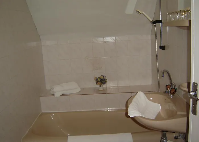 Vadgesztenye Panzio *